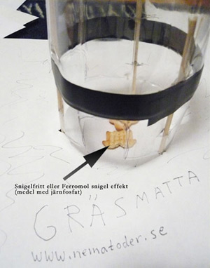 Snigelkiosk f&ouml;r snigelfritt eller snigel effekt